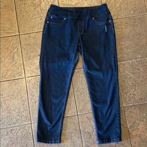 Style & Co. Boyfriend Jeans  Size L